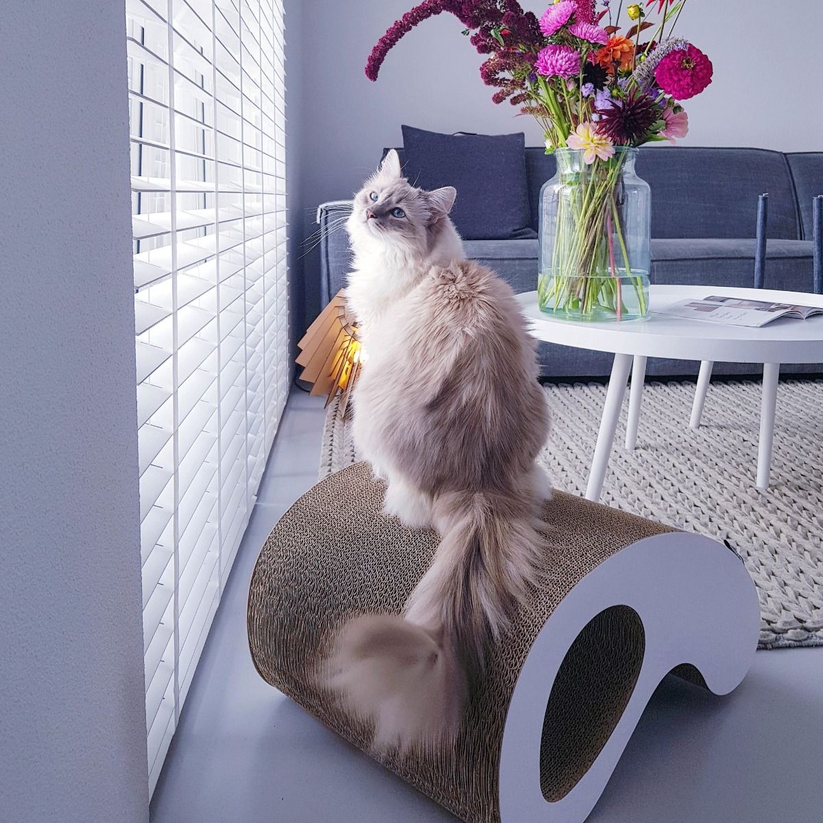 District 70 Rocking Cardboard Cat Scratcher - Large - Shopivet.com