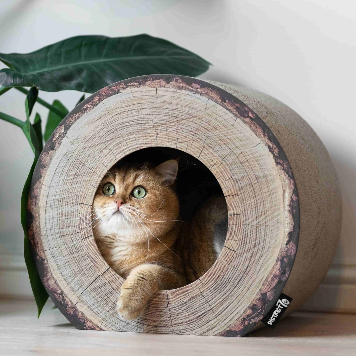 District 70 Trunk Cardboard Cat Scratcher - Shopivet.com