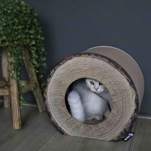 District 70 Trunk Cardboard Cat Scratcher - Shopivet.com