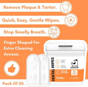 DogsLife Dental Wipes Dog 50pcs - Shopivet.com
