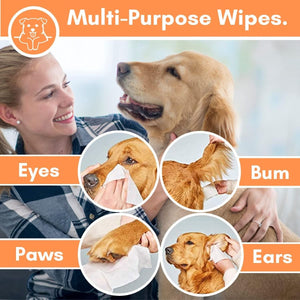 DogsLife Unscented Grooming Dog Wipes 100pcs - Shopivet.com