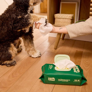 Earth Rated Dog Wipes 100 Count - Unscented - Shopivet.com