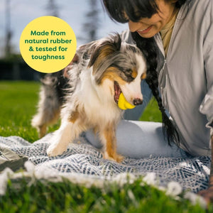Earth Rated Fetch Toy - medium - Shopivet.com