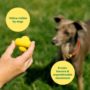 Earth Rated Fetch Toy - medium - Shopivet.com