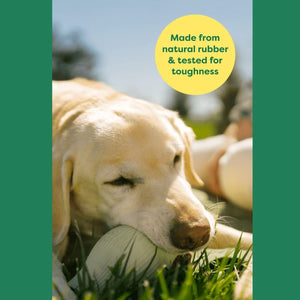 Earth Rated Treat Toy - small - Shopivet.com