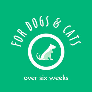 Earthbath Tooth & Gum Wipes – 50 Pet Wipes