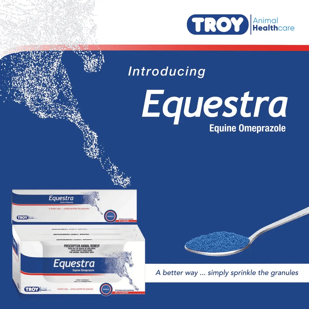 EQUESTRA EQUINE OMEPRAZOLE 50 x 2g - Shopivet.com