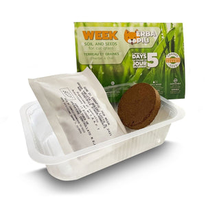 Erba Piu Week Soil and Seeds Kit for Cat Grass - Shopivet.com