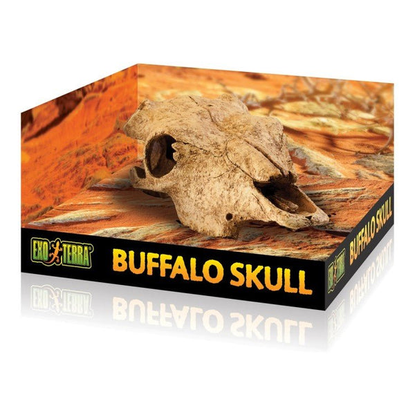 Exo Terra Buffalo Skull - Shopivet.com