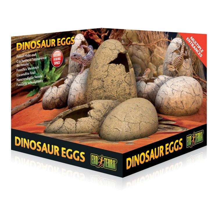 Exo Terra Dinosaur Eggs Fossil Hide Out - Shopivet.com