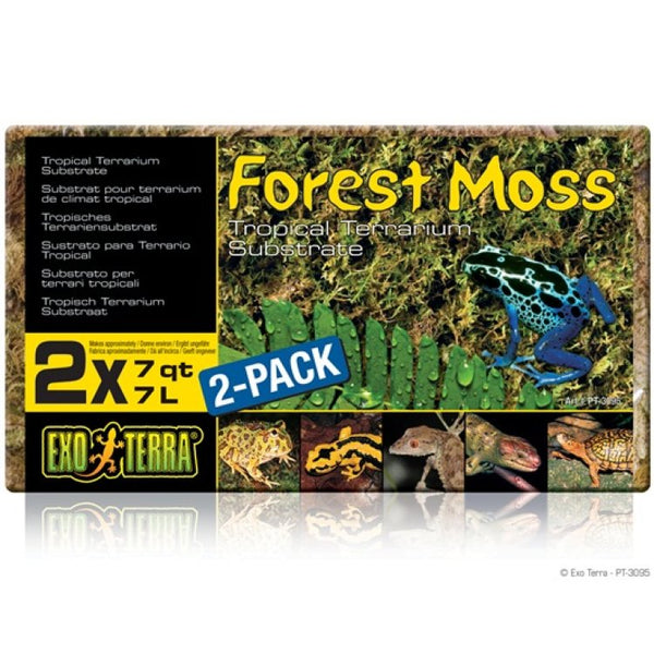 Exo Terra Forest Moss 2 x 7qt / 2 x 7L - Shopivet.com