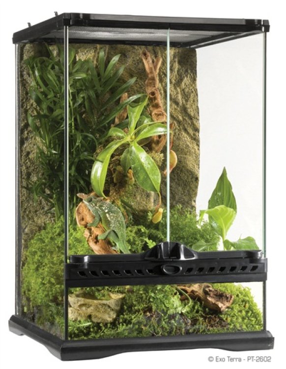 Exo Terra Natural Terrarium Mini Mini/Tall 30 x 30 x 45cm - Shopivet.com
