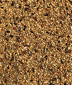 Exotic Mix 20 KG