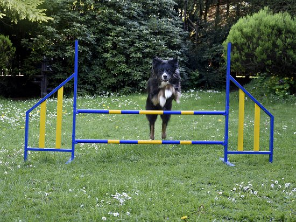 FCI Professional Metal Hurdle