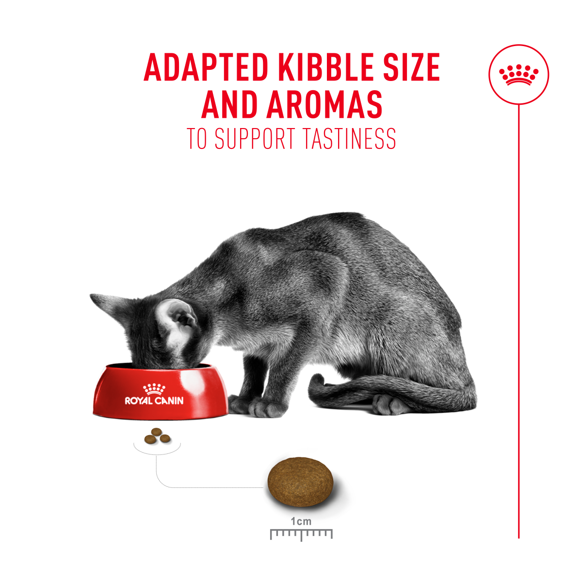 Feline Health Nutrition Fussy Cat 2 kg