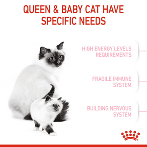 Feline Health Nutrition Mother & Babycat 10 KG
