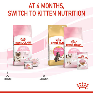 Feline Health Nutrition Mother & Babycat 10 KG