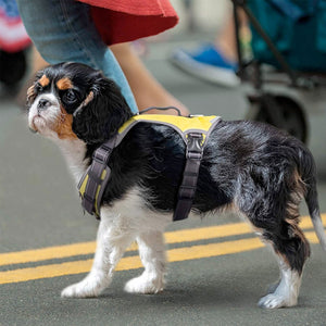 Fida Dog Harness – Yellow - L - Shopivet.com