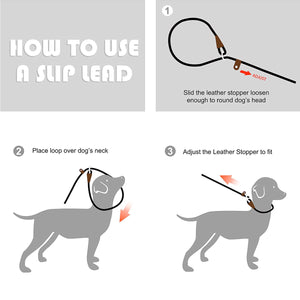 Fida Durable Slip Lead Dog Leash / Training Leash(6ft length, 1/2″ thick Rope) - yellow - Shopivet.com