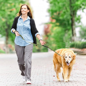 Fida Heavy Duty Dog Leash – Yellow - 5ft - Shopivet.com