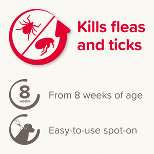 Fiprotec for Medium Dog - 4 Pipettes