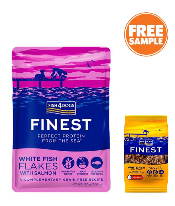 Fish4Dogs Finest White Fish Flakes with Salmon Adult Wet Dog Food 100g - 100g - Shopivet.com