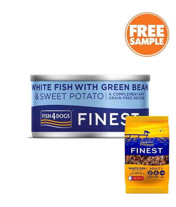 Fish4Dogs Finest White Fish with Green Bean & Sweet Potato Adult Wet Dog Food 85g - 85G - Shopivet.com