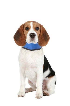 Flamingo Dog Cooling Bandana - S - Shopivet.com