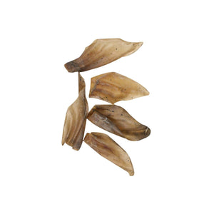 Flamingo Natural Buffalo Ears Dog Treats 5pcs - 60G - Shopivet.com