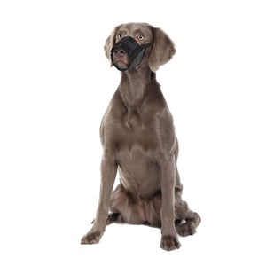 Flamingo Teddie Mesh Dog Muzzle - M/L - Shopivet.com