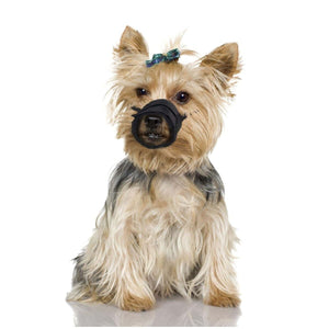Flamingo Teddie Mesh Dog Muzzle - X - Small - Shopivet.com