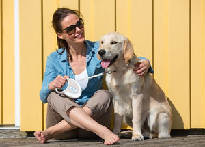 Flexi Style Tape Retractable Dog Leash - ROSE S/3M - Shopivet.com