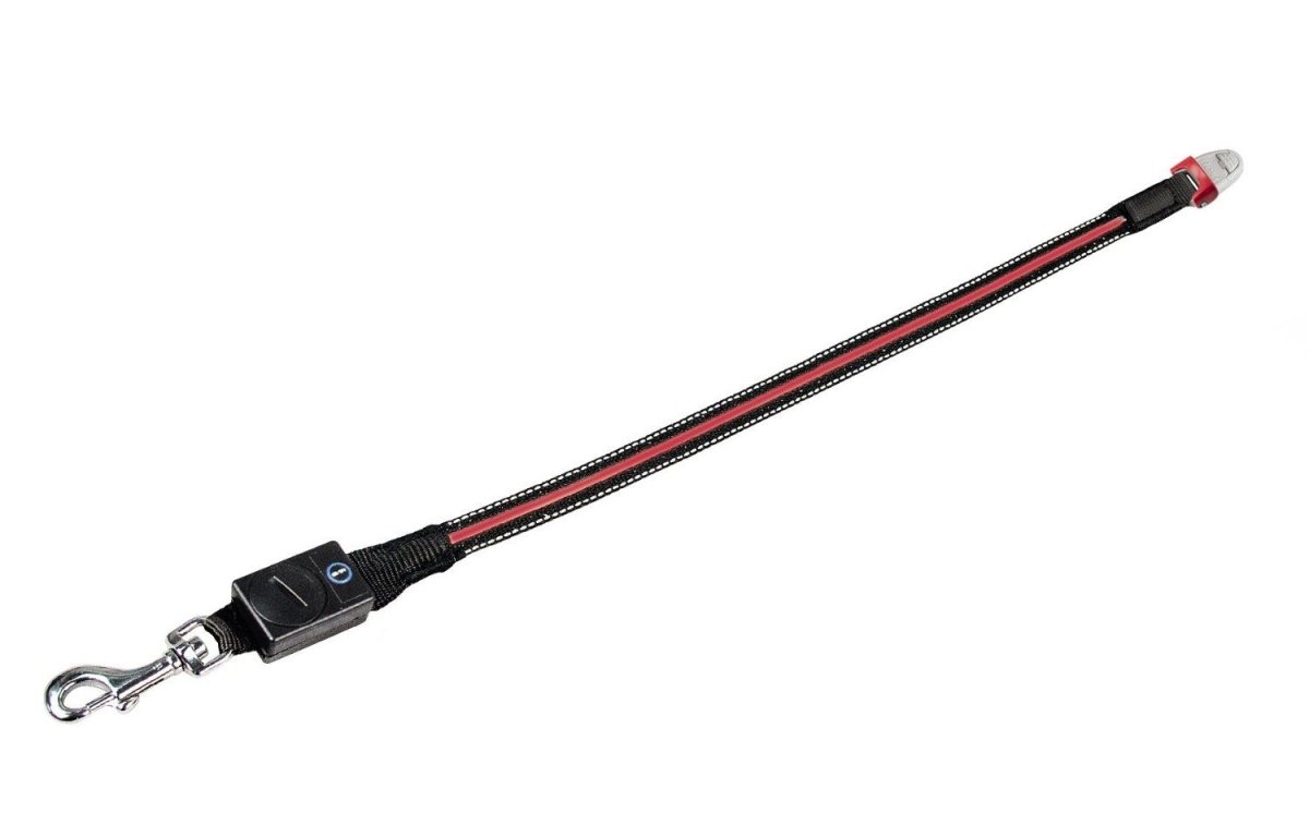 Flexi Vario LED Dog Flash Belt - S/M - Shopivet.com