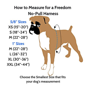 Freedom No-Pull Harness and Leash - Black / Small 5/8"