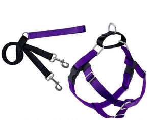 Freedom No-Pull Harness and Leash - Purple / Medium 1"