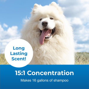 Fresh ’n Clean® Snowy - Coat® Whitening Shampoo Vanilla Scent 1 gallon - Shopivet.com