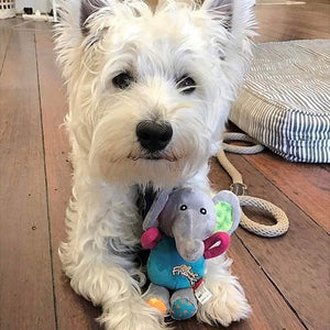 GiGwi Plush Friendz Squeaker Dog Toy – Elephant - Shopivet.com