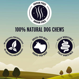 Great Jack’s Odour - Free Bully Sticks – 6 pcs - Shopivet.com