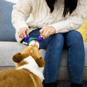 Green Monster Rope Squeaker Inside Small Plush/Rope - Shopivet.com