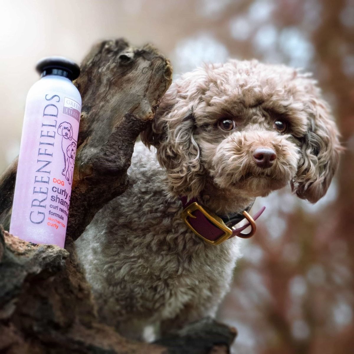 Greenfields Curly Coat Dog Shampoo 250ml - 250ml - Shopivet.com