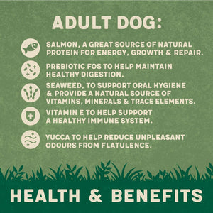 Harringtons Complete Salmon & Potato Adult Dry Dog Food - 12kg - Shopivet.com