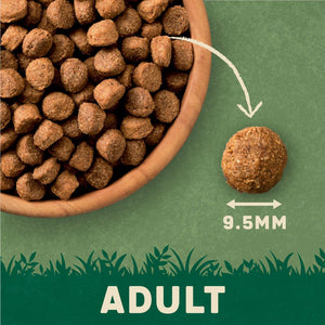 Harringtons Complete Turkey with Veg Adult Dry Dog Food - 15KG - Shopivet.com