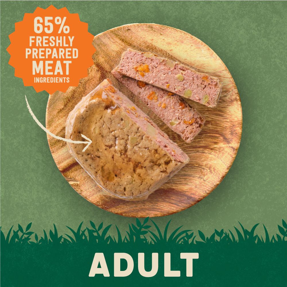 Harringtons Duck Grain Free Adult Wet Dog Food 400g - 400G - Shopivet.com