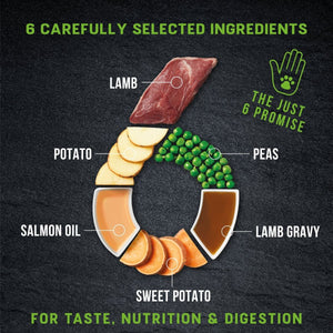 Harringtons Just 6 Lamb Grain Free Adult Wet Dog Food 380g - 380G - Shopivet.com