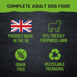 Harringtons Just 6 Lamb Grain Free Adult Wet Dog Food 380g - 380G - Shopivet.com