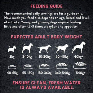 Harringtons Just 6 Salmon Grain Free Adult Dry Dog Food - 2KG - Shopivet.com