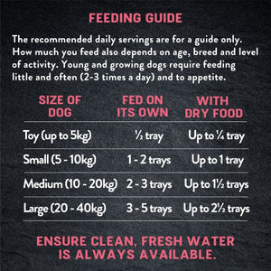 Harringtons Just 6 Salmon Grain Free Adult Wet Dog Food 380g - 380G - Shopivet.com