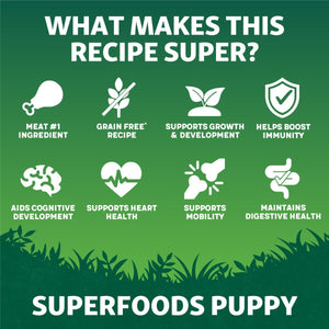 Harringtons Superfoods Chicken with Vegetables Puppy Dry Dog Food - 10kg - Shopivet.com