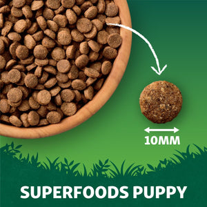 Harringtons Superfoods Chicken with Vegetables Puppy Dry Dog Food - 10kg - Shopivet.com