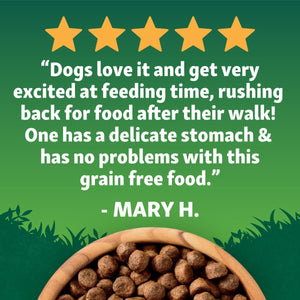 Harringtons Superfoods Salmon with Vegetables Adult Dry Dog Food - 12kg - Shopivet.com